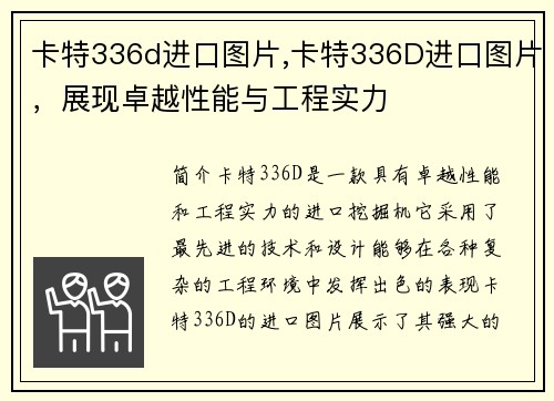 卡特336d进口图片,卡特336D进口图片，展现卓越性能与工程实力